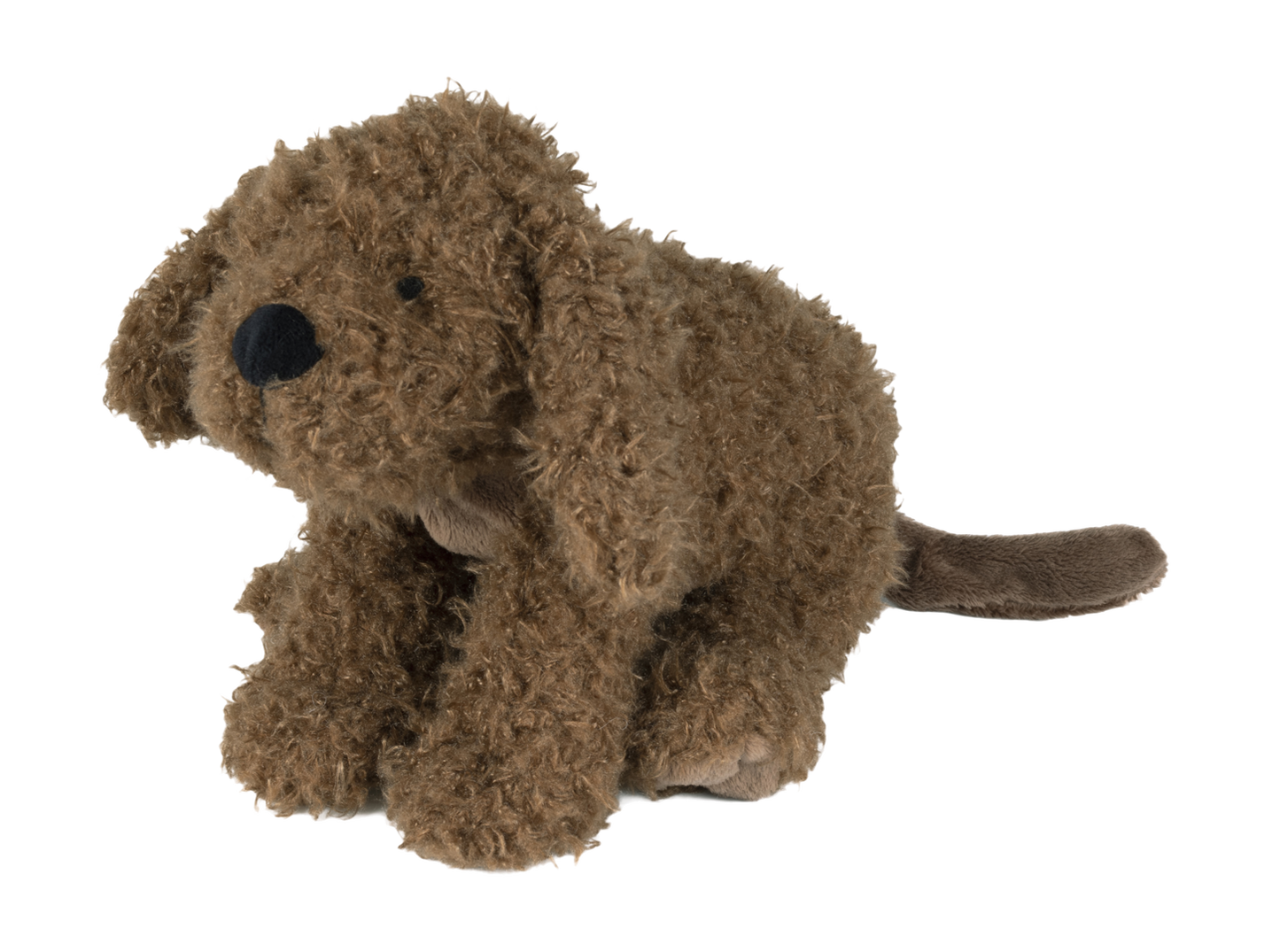 Labradoodle Larry Nr. 1