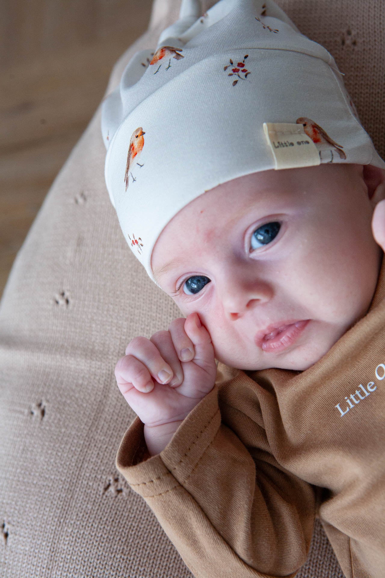 Offer set of bunnies π°