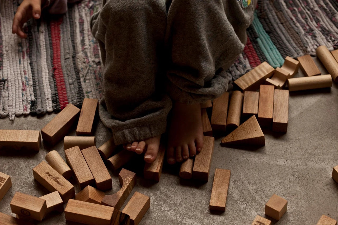 Wooden blocks in tray - toys 30 pieces