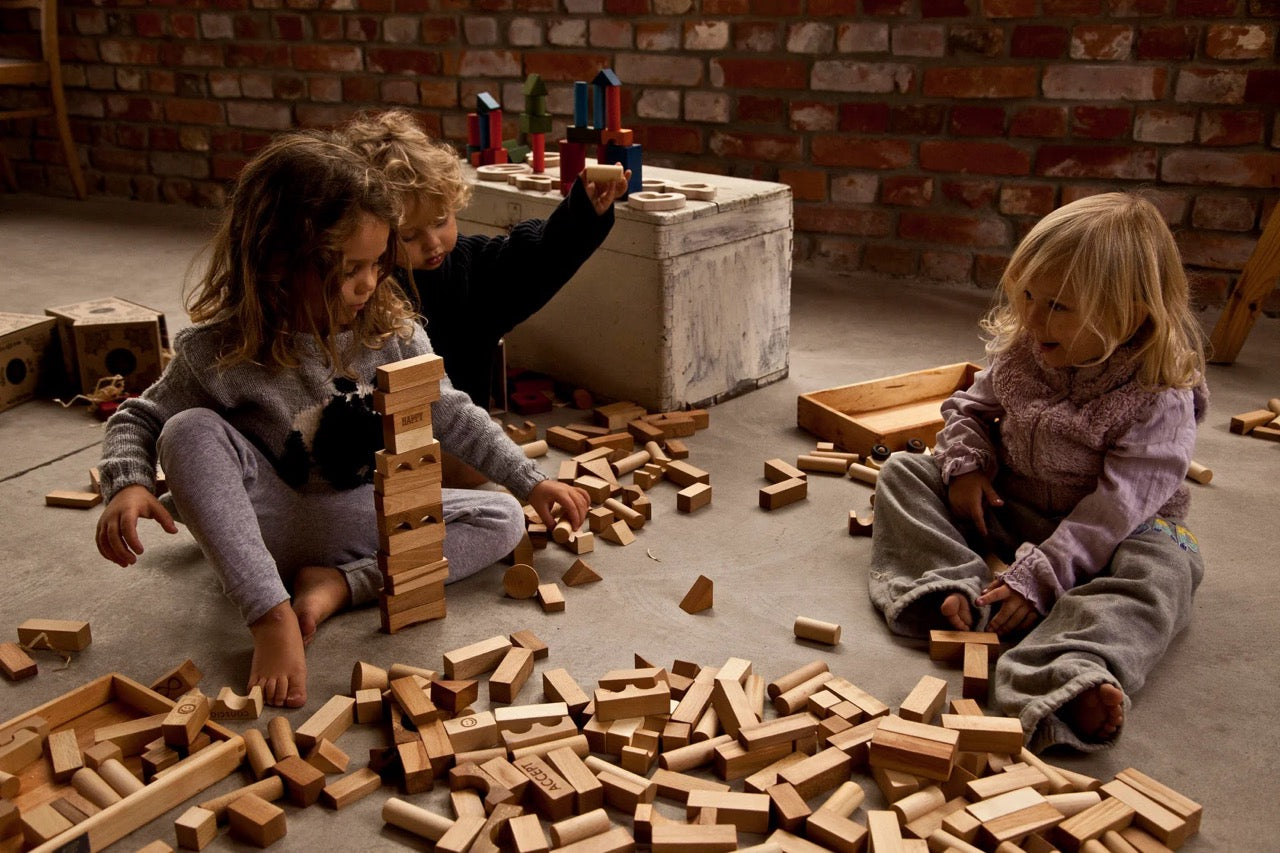 Wooden blocks in tray - toys 30 pieces