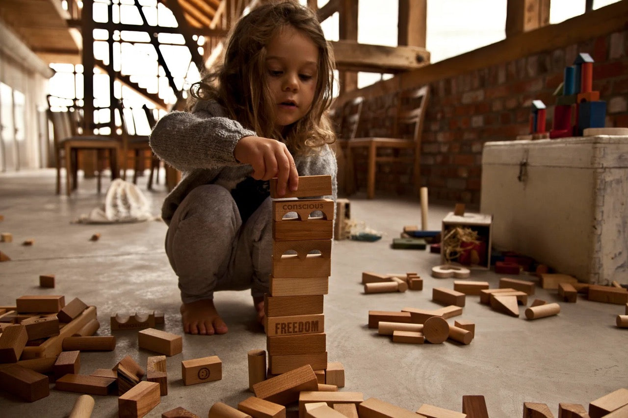Wooden blocks in tray - toys 30 pieces