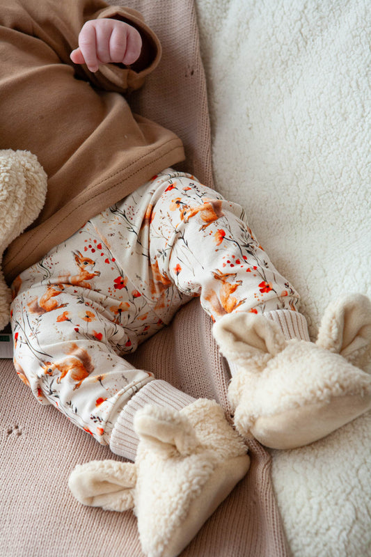 Aanbieding set eekhoorntjes