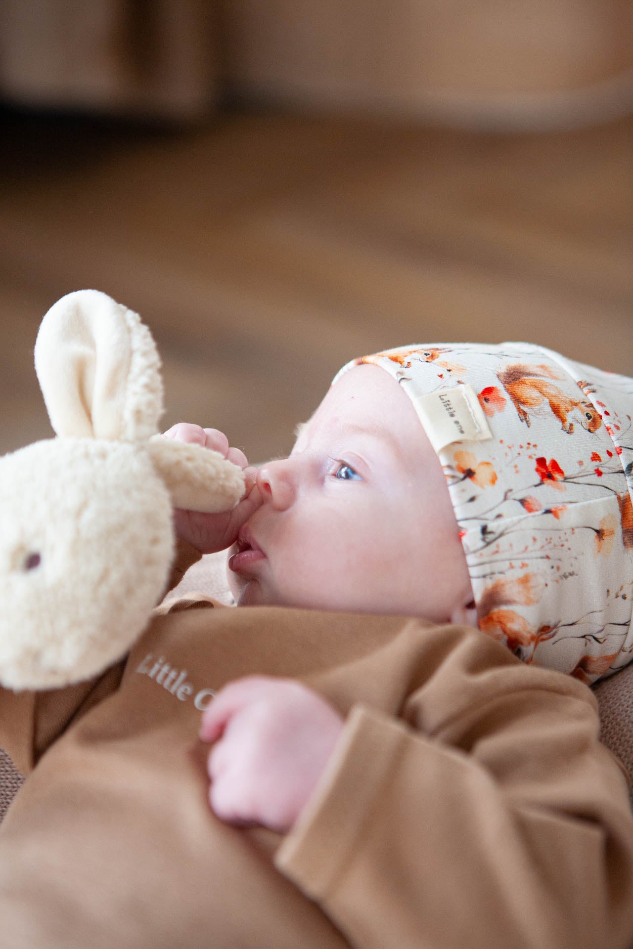 Offer set of bunnies 🐰